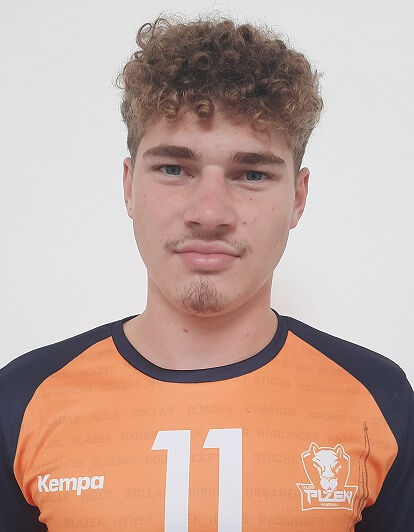 Fotografie hráče Stehlík Radim