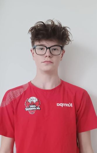 Fotografie hráče Schiner Viktor