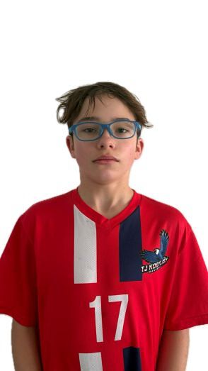 Fotografie hráče Bursík Jiří