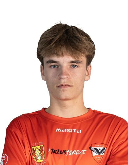 Fotografie hráče Šiler David